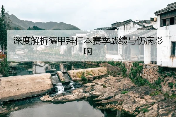深度解析德甲拜仁本赛季战绩与伤病影响